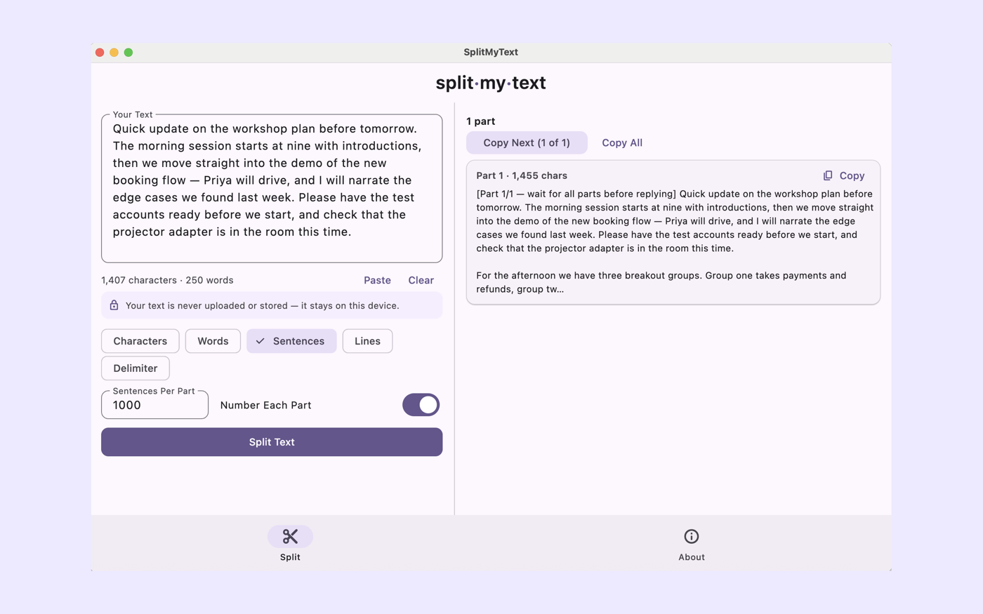 SplitMyText on macOS with the input and results side by side in a desktop window.